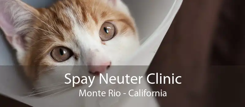 Spay Neuter Clinic Monte Rio - California