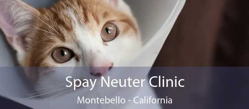 Spay Neuter Clinic Montebello - California