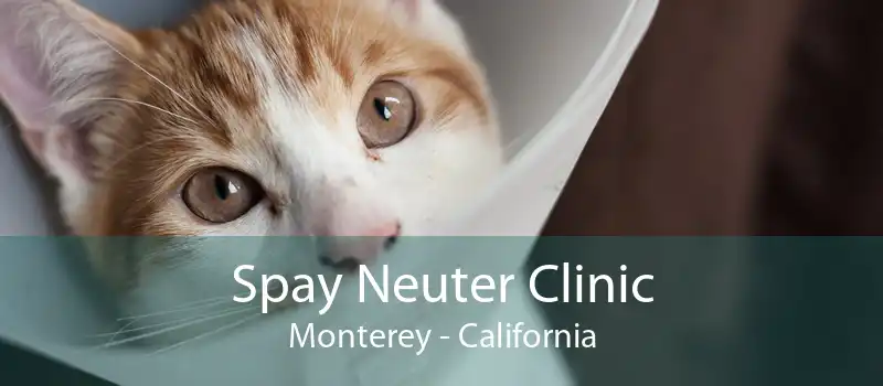 Spay Neuter Clinic Monterey - California