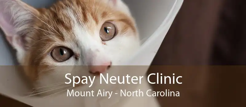 Spay Neuter Clinic Mount Airy - North Carolina