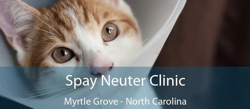 Spay Neuter Clinic Myrtle Grove - North Carolina