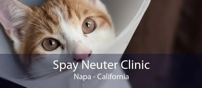 Spay Neuter Clinic Napa - California
