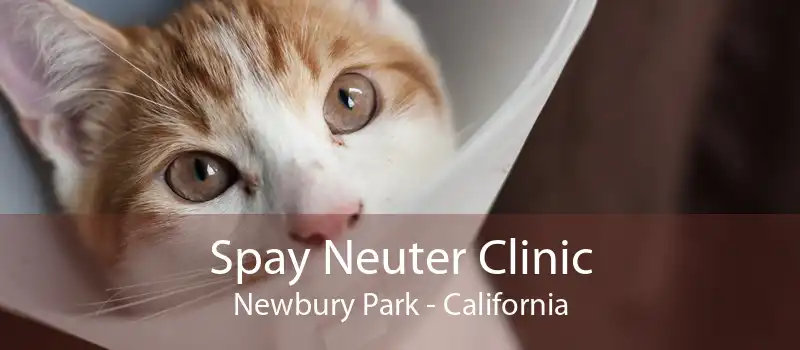 Spay Neuter Clinic Newbury Park - California