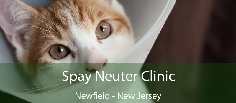 Spay Neuter Clinic Newfield - New Jersey