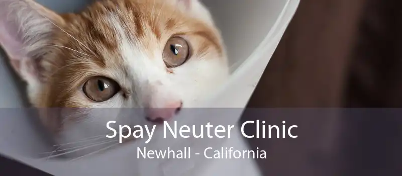 Spay Neuter Clinic Newhall - California