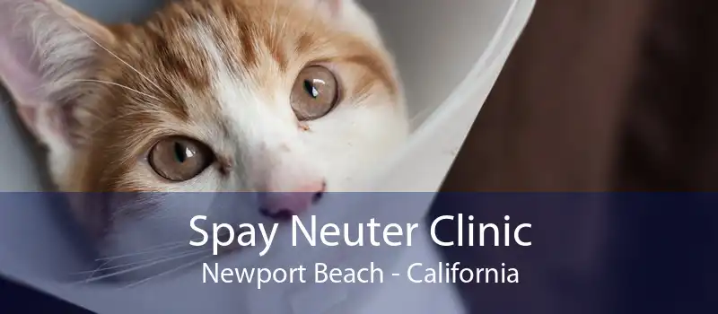 Spay Neuter Clinic Newport Beach - California