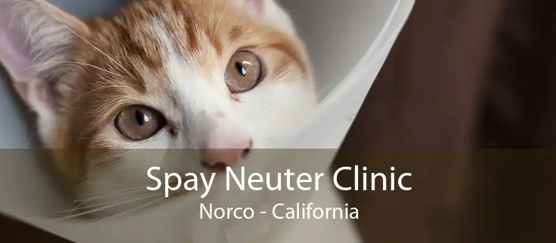 Spay Neuter Clinic Norco - California