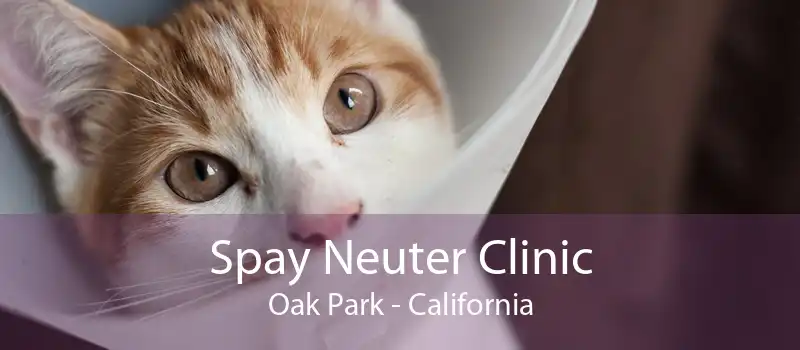 Spay Neuter Clinic Oak Park - California