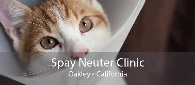Spay Neuter Clinic Oakley - California