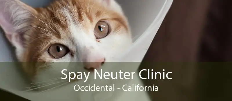 Spay Neuter Clinic Occidental - California