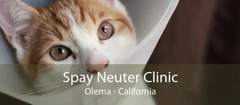 Spay Neuter Clinic Olema - California