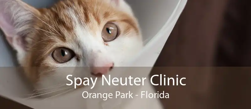 Spay Neuter Clinic Orange Park - Florida