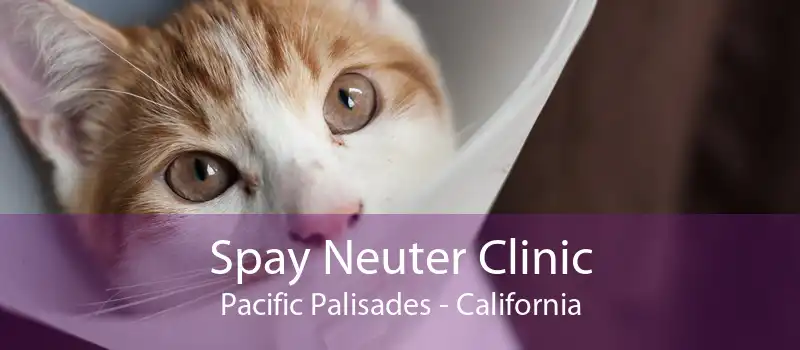 Spay Neuter Clinic Pacific Palisades - California