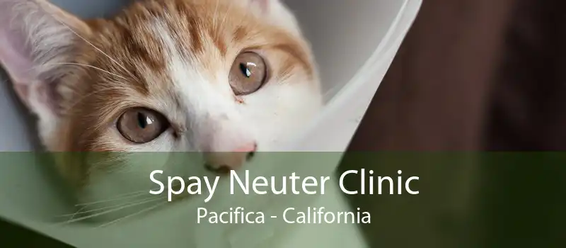 Spay Neuter Clinic Pacifica - California