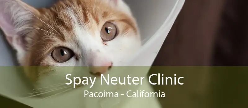 Spay Neuter Clinic Pacoima - California