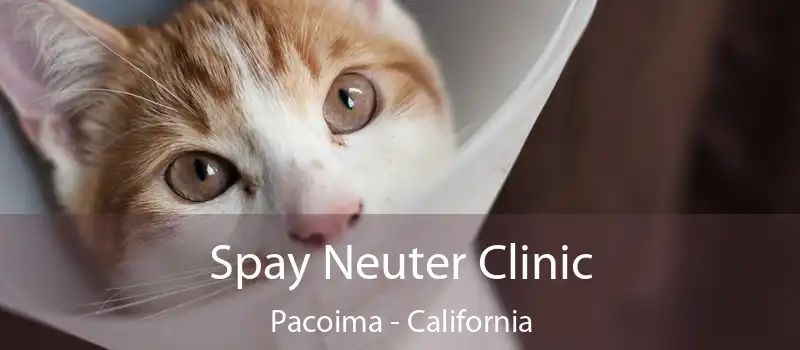 Spay Neuter Clinic Pacoima - California