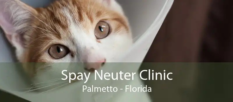 Spay Neuter Clinic Palmetto - Florida
