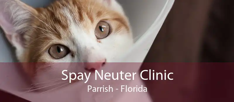 Spay Neuter Clinic Parrish - Florida