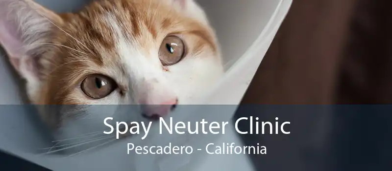 Spay Neuter Clinic Pescadero - California