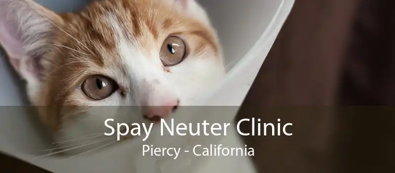 Spay Neuter Clinic Piercy - California