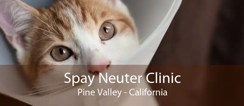 Spay Neuter Clinic Pine Valley - California