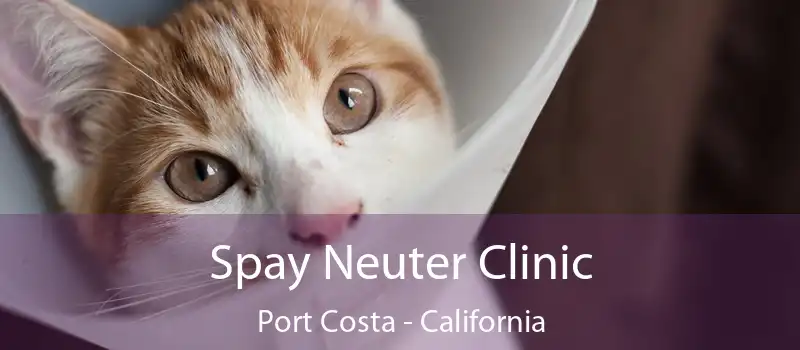 Spay Neuter Clinic Port Costa - California