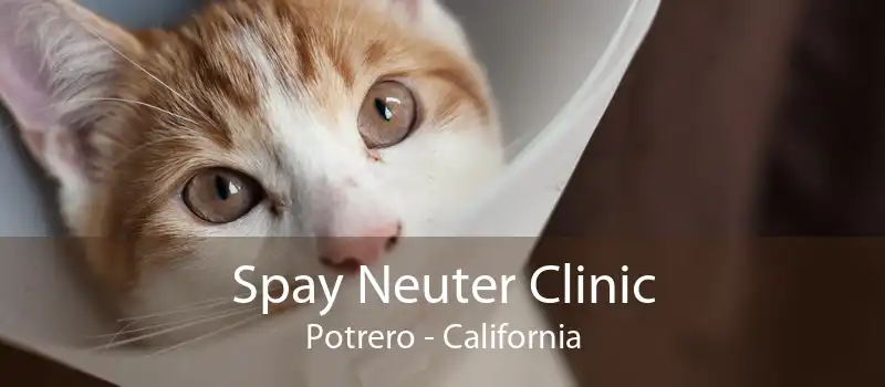Spay Neuter Clinic Potrero - California