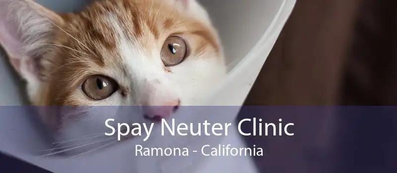 Spay Neuter Clinic Ramona - California