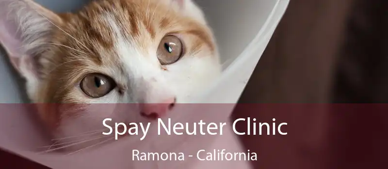 Spay Neuter Clinic Ramona - California