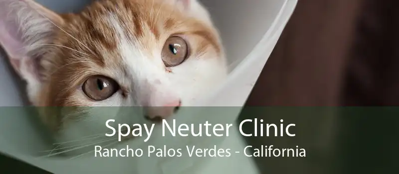 Spay Neuter Clinic Rancho Palos Verdes - California