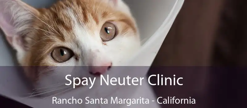 Spay Neuter Clinic Rancho Santa Margarita - California