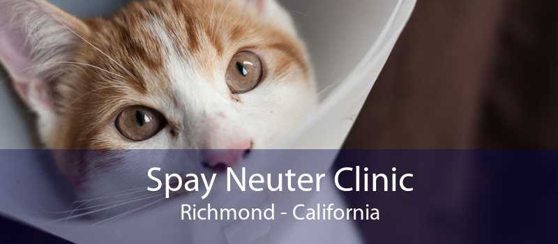 spay neuter clinic richmond california
