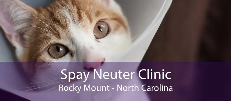 Spay Neuter Clinic Rocky Mount - North Carolina