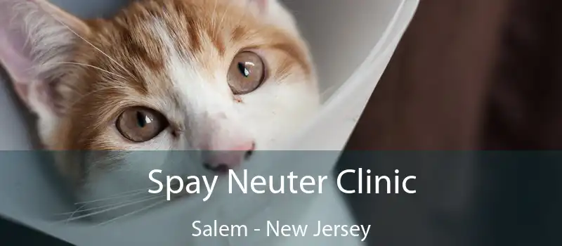 Spay Neuter Clinic Salem - New Jersey