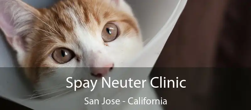 Spay Neuter Clinic San Jose - California