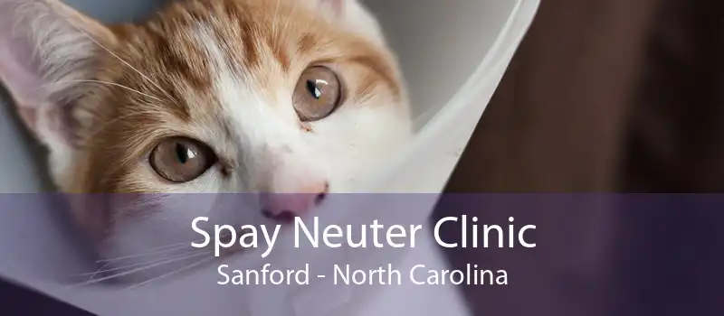 Spay Neuter Clinic Sanford - North Carolina