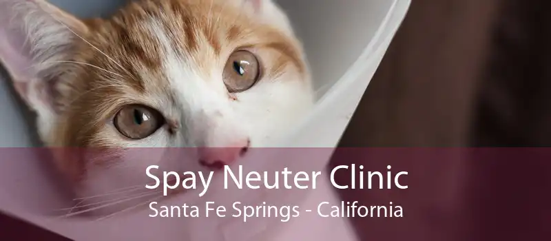Spay Neuter Clinic Santa Fe Springs - California
