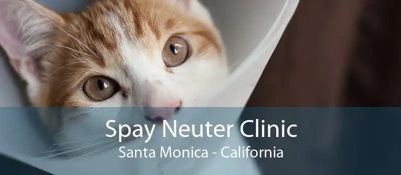 Spay Neuter Clinic Santa Monica - California