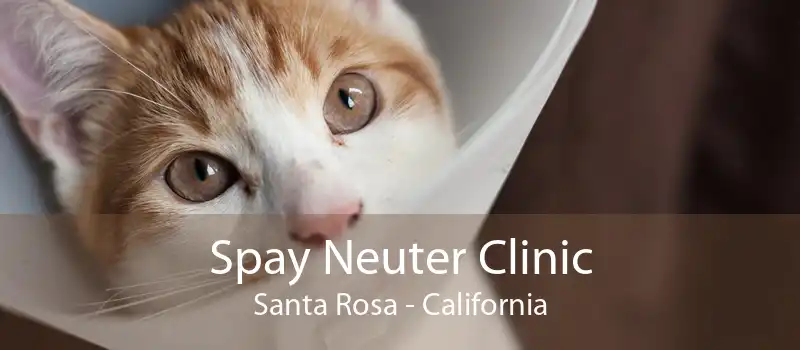 Spay Neuter Clinic Santa Rosa - California