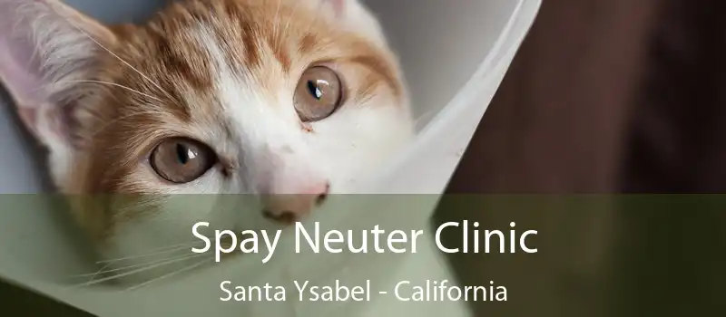 Spay Neuter Clinic Santa Ysabel - California