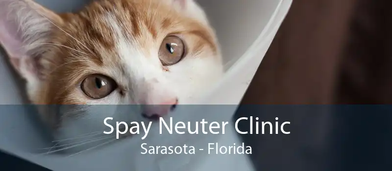 Spay Neuter Clinic Sarasota - Florida