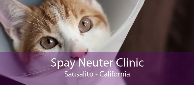 Spay Neuter Clinic Sausalito - California