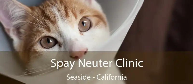 Spay Neuter Clinic Seaside - California