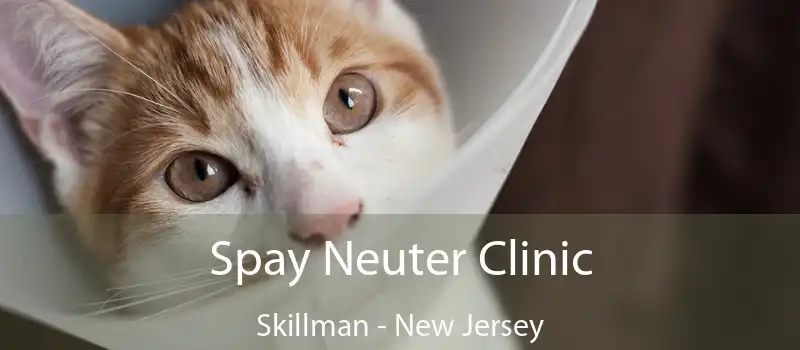 Spay Neuter Clinic Skillman - New Jersey