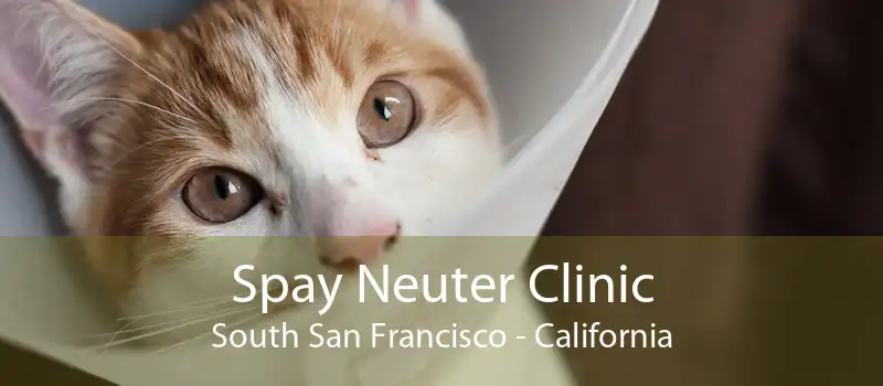 Spay Neuter Clinic South San Francisco - California