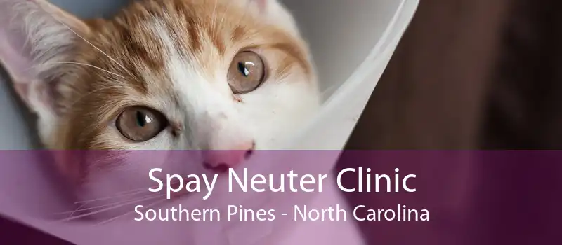 Spay Neuter Clinic Southern Pines - North Carolina