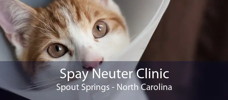 Spay Neuter Clinic Spout Springs - North Carolina
