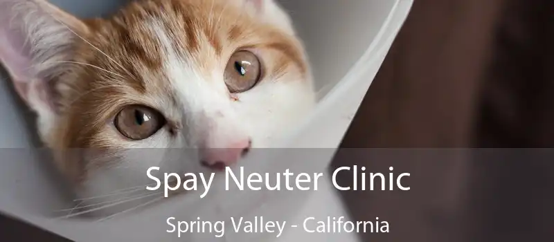 Spay Neuter Clinic Spring Valley - California