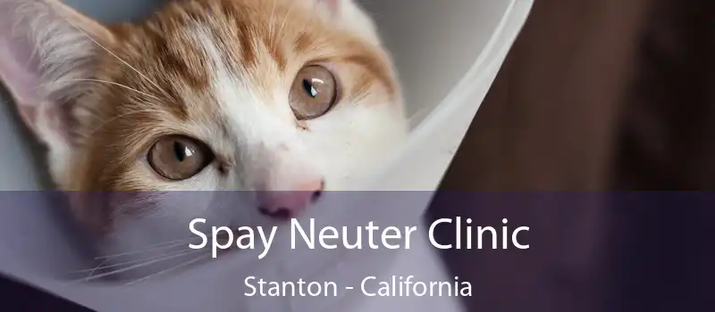 Spay Neuter Clinic Stanton - California