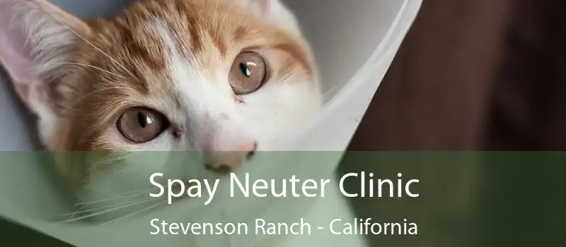 Spay Neuter Clinic Stevenson Ranch - California